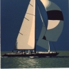 Regata sul mare verde - 1988 - cm 70x70